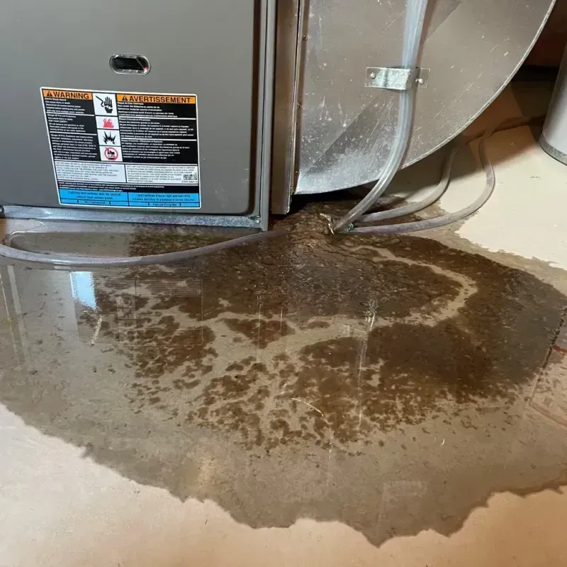 Appliance Leak Cleanup in Palmyra, ME